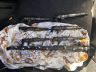 BMW 5 (E60 / E61) 2005 Pihustid M57 (7 794 652) + ramp