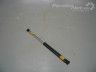 Renault Laguna 2001-2007 Tagaluugi gaasiamort (univ.) Varuosa kood: 8200000896A
Kere tüüp: Universaal...