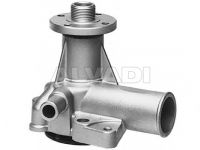 Ford Granada 1977-1985 veepump VEEPUMP mudelile FORD GRANADA (GU/GNU) Output t...